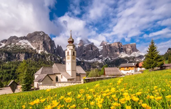 Картинка цветы, горы, деревня, луг, Италия, церковь, Italy, Доломитовые Альпы