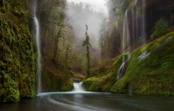 Лес, природа, река, водопад, Орегон, США