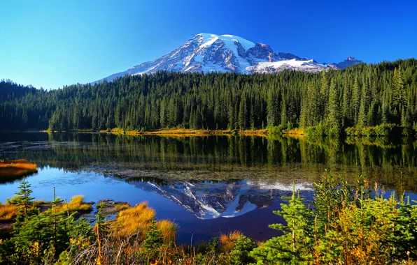 Картинка осень, лес, вода, деревья, горы, озеро, отражение, Mount Rainier National Park