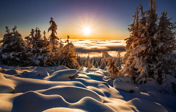 Картинка зима, солнце, облака, лучи, снег, деревья, пейзаж, природа