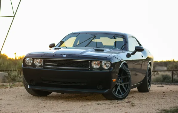 Dodge, Challenger, black