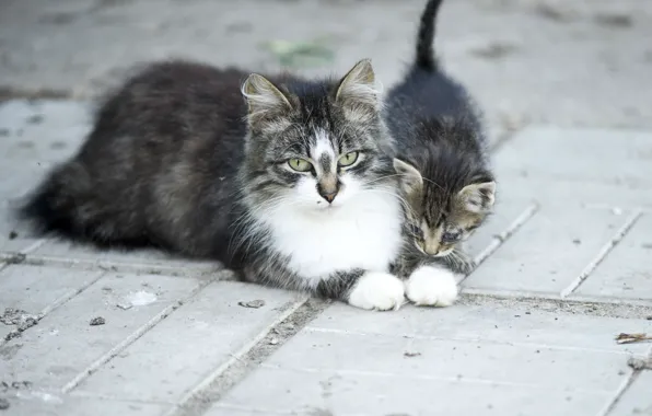 Two, look, floor