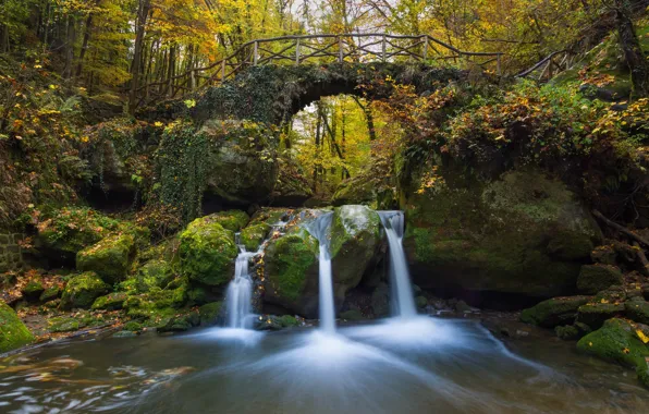 Осень, лес, мост, река, камни, водопад, мох, Люксембург