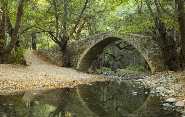 Картинка лес, листья, деревья, мост, парк, отражение, река, ручей