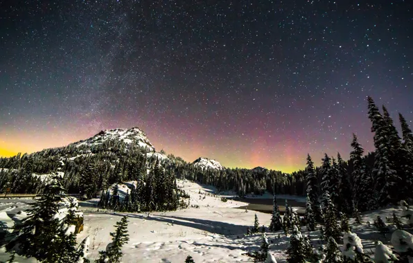 Картинка зима, лес, звезды, снег, пейзаж, горы, Rainier National Park