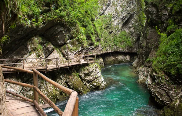 Мостки, река, Словения