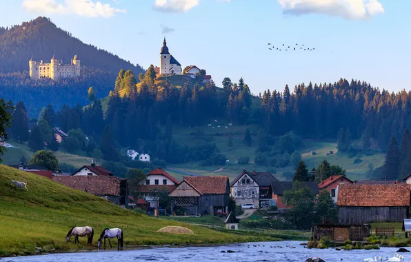 Лес, небо, облака, горы, птицы, уют, река, замок