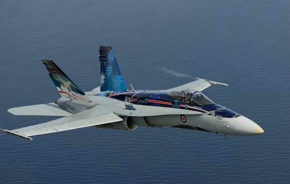 Картинка истребитель, многоцелевой, Hornet, CF-18