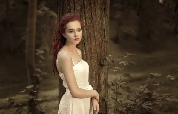 Девушка, платье, красивая, одна, в белом, боке, в лесу, у дерева