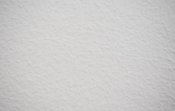 Картинка белый, фон, стена