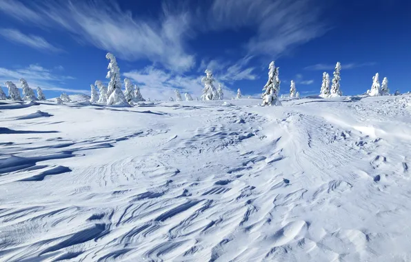 Картинка зима, небо, снег, пейзаж, природа, фото