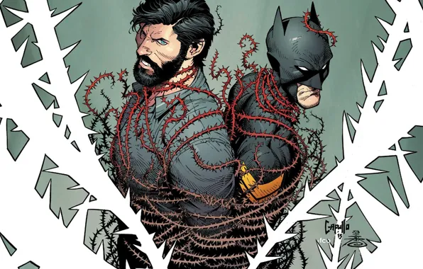 Бэтмен, Костюм, Герой, Маска, Комикс, Супергерой, Hero, Batman