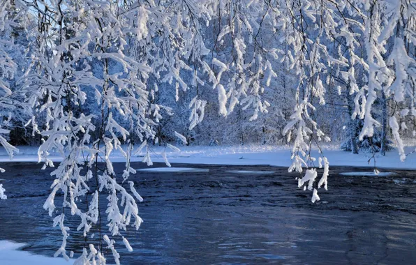 Картинка зима, вода, снег, ветки, природа, река