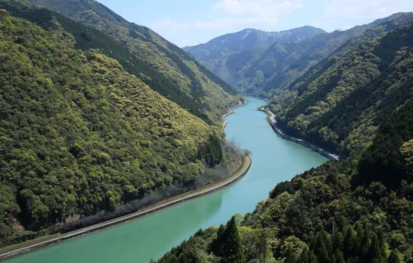 Картинка лес, пейзаж, горы, река