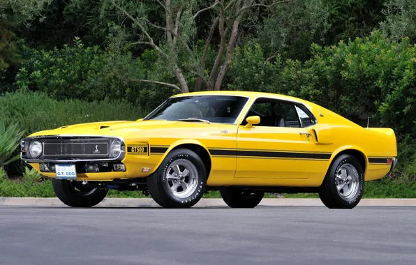 Shelby, GT500, 1969