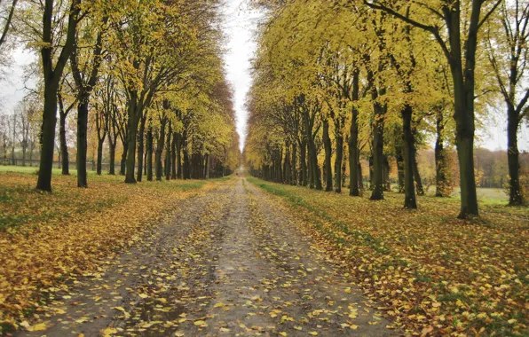 Картинка Осень, Деревья, Листья, Парк, Fall, Листва, Дорожка, Park