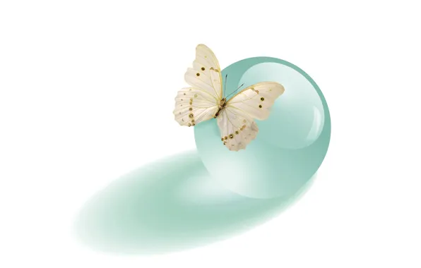 Green, butterfly, cristal ball