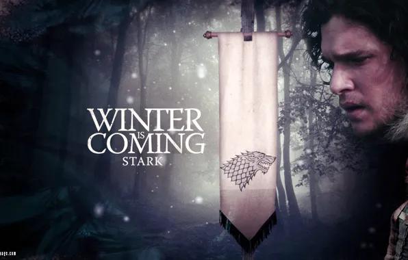 Картинка зима, снег, волк, флаг, девиз, Game of Thrones, Игра престолов, Джон Сноу