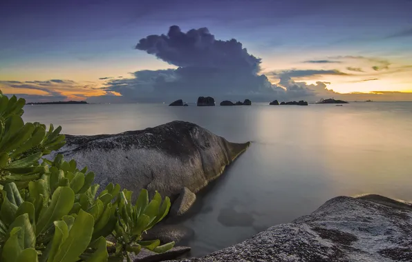 Картинка море, закат, камни, скалы, побережье, Индонезия, мангры, Indonesia