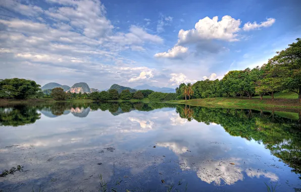 Forest, lake, malaysia, gopeng