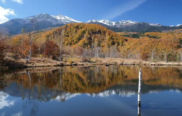 Картинка осень, деревья, горы, озеро, холмы, ствол