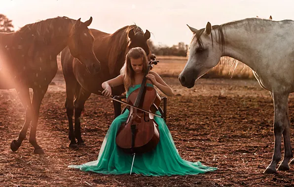 Картинка девушка, кони, виолончель