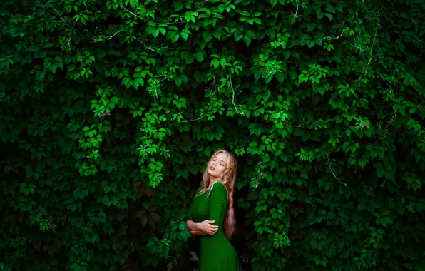 Картинка зелень, девушка, блондинка, фотограф, Elena, green dress, дикий виноград, Лена