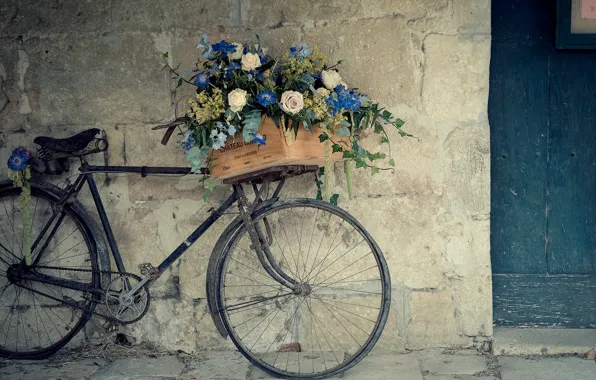 Картинка цветы, велосипед, стена, корзина, розы, ящик