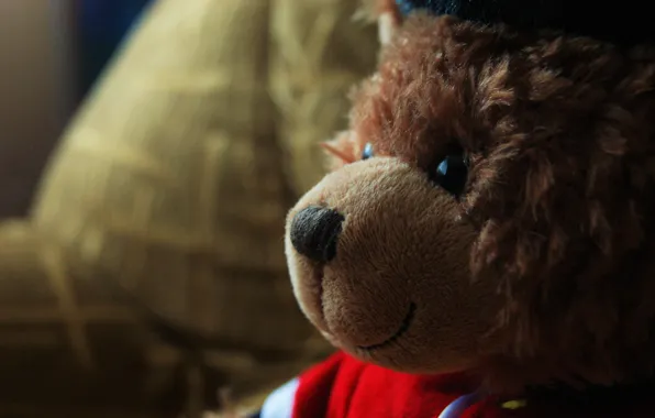 Дети, обои, игрушка, мишка, bear, child, teddy bear, english