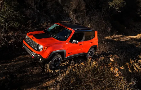 Джип, Jeep, 2015, Renegade, Latitude