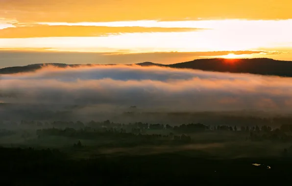Картинка свет, туман, утро, долина
