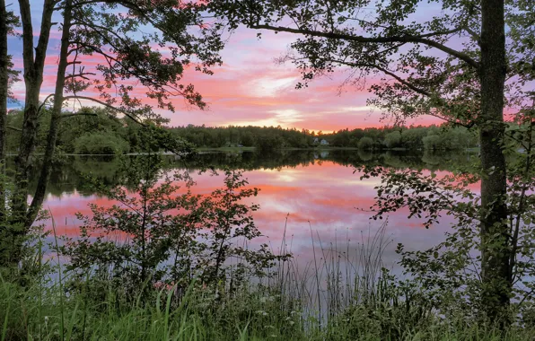 Деревья, озеро, отражение, рассвет, утро, Швеция, Sweden, Nacka