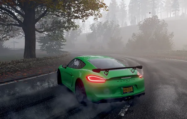 Porsche, Drift, Porsche Cayman GT4, Forza Horizon 4