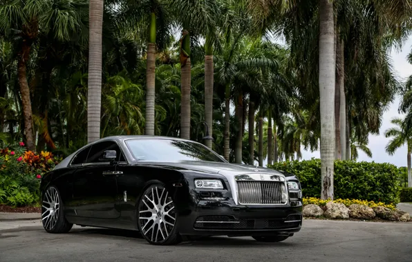 Colors, Rolls-royce, Wraith, 2