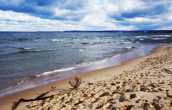Beach, sea, ocean