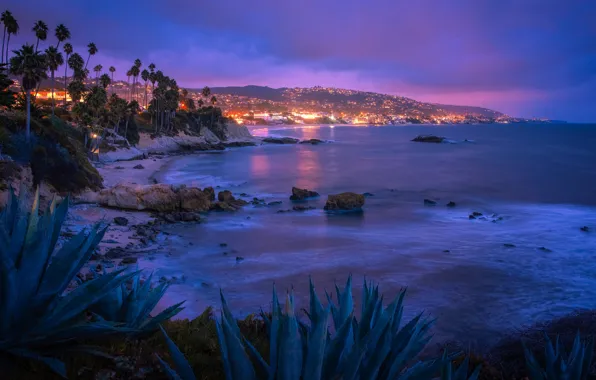 Картинка lights, USA, ocean, night, Laguna Beach