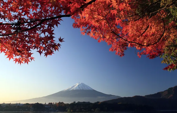 Картинка осень, ветки, дерево, гора, вулкан, Япония, Фудзияма