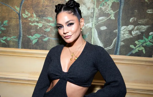 Девушка, поза, модель, макияж, актриса, hair, Vanessa Hudgens, Vanessa Anne Hudgens