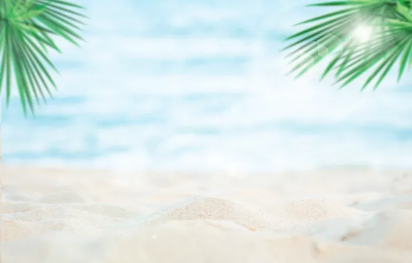 Море, пляж, лето, природа, пальмы, summer, beach, sea