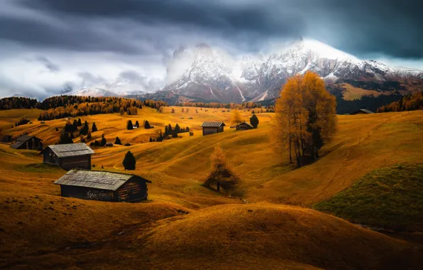 Осень, лес, горы, холмы, поля, Альпы, домики