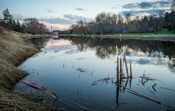Картинка природа, река, Jeff Wallace, Sturgeon River
