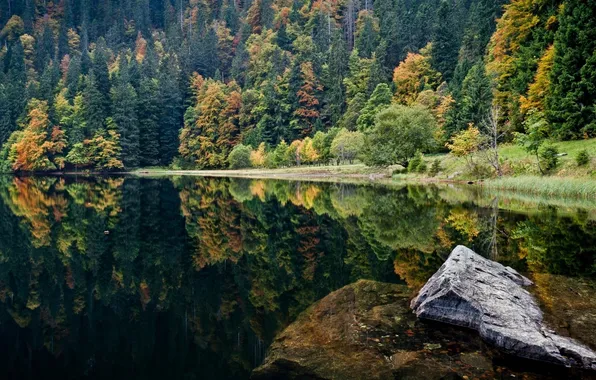 Картинка осень, лес, вода, деревья, пейзаж, природа, озеро, камень