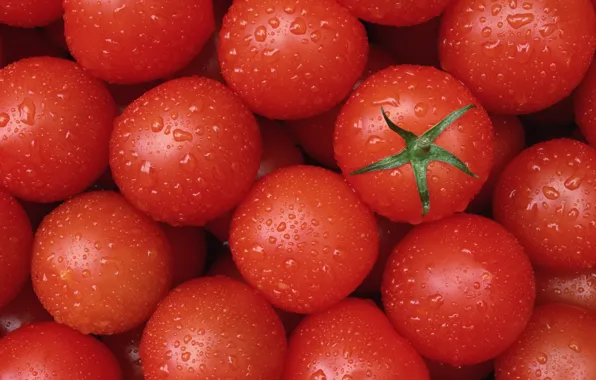 Еда, красные, помидоры, томаты, вкусно, чистые