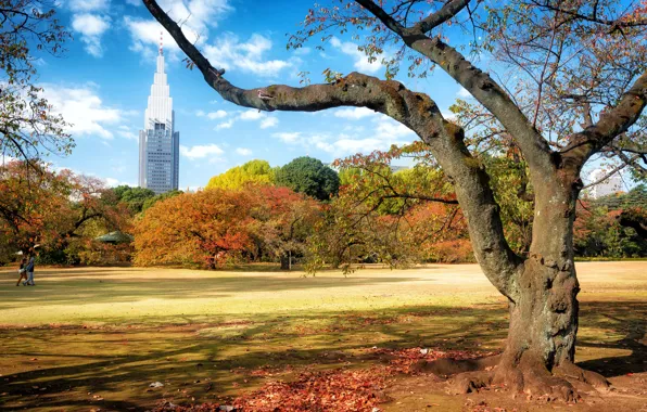 Картинка осень, деревья, пейзаж, город, парк, башня, Япония, Токио