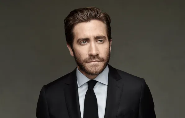 Картинка взгляд, костюм, мужчина, Jake gyllenhaal
