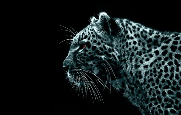 Черный, обработка, леопард