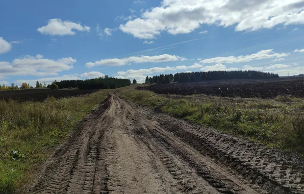 Природа, Дорога, Осень, Лес, Пейзаж, Урал, Сентябрь, Медянка