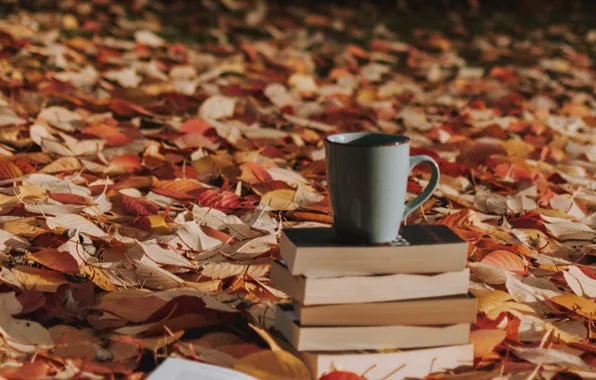 Картинка осень, листья, книги, кружка, опавшие листья