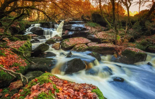 Картинка осень, листья, деревья, река, камни, Франция, водопад, мох