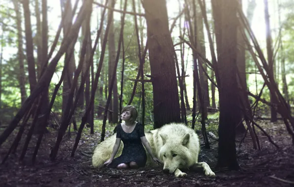 Картинка лес, девушка, волк